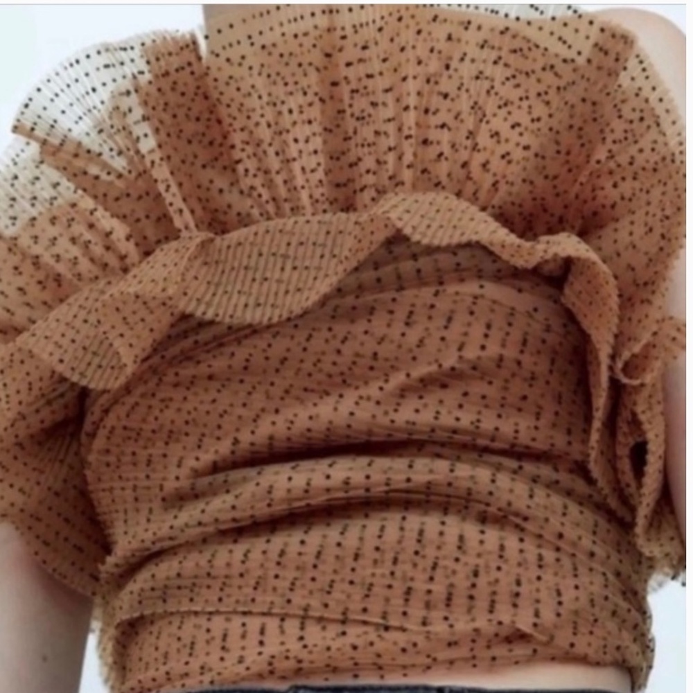 Zara Polka Dot Mesh Top SZ L